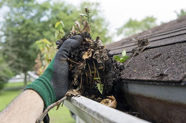 neglecting gutter cleaning can lead to water damage, mold growth, and even foundation issues